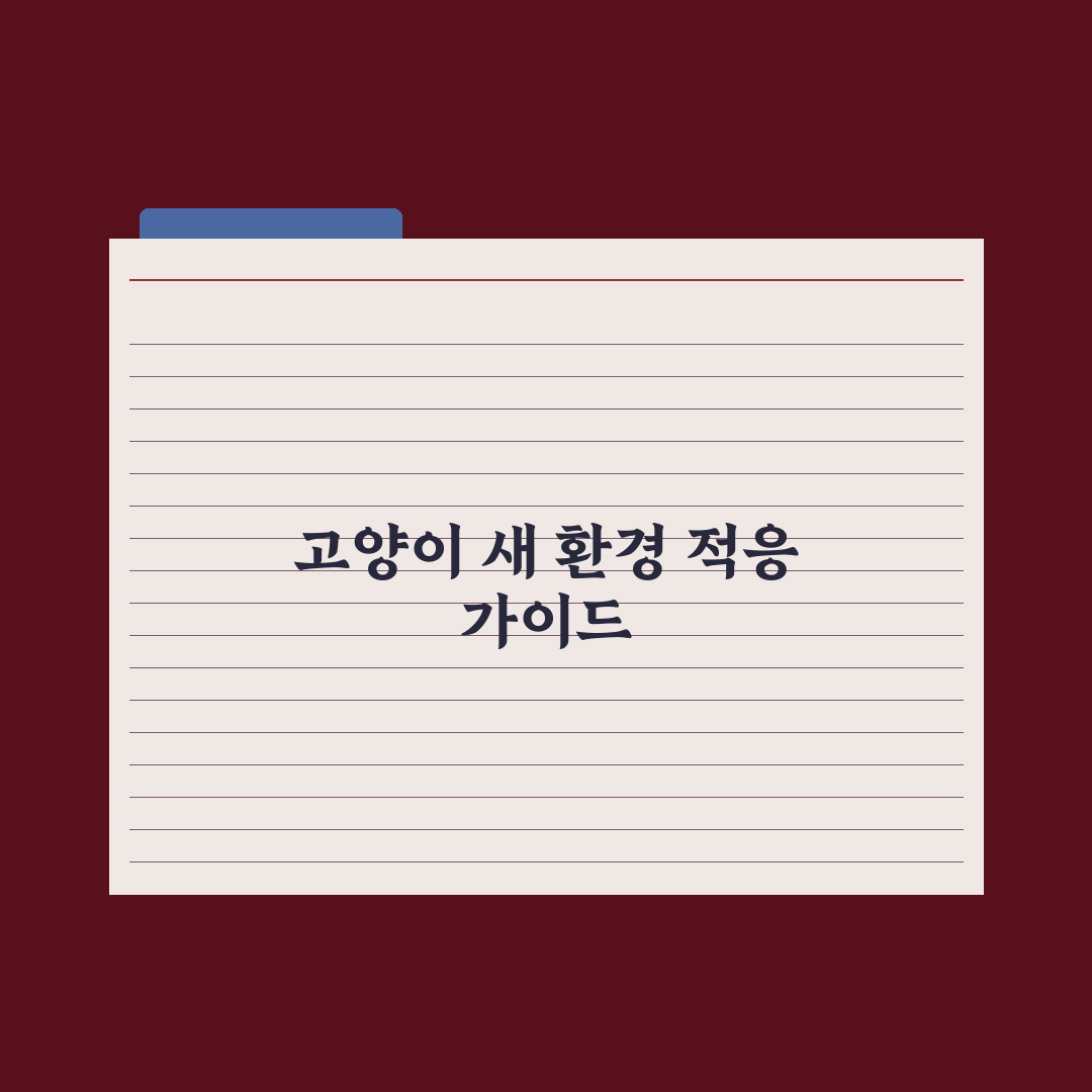 고양이 새 환경 적응시키는 법 완벽가이드, 전문가가 검증한 5가지 핵심원칙
