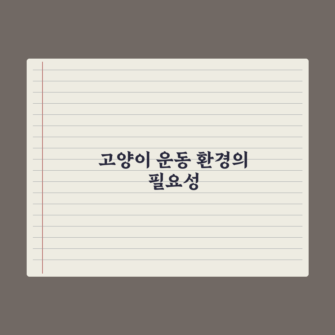 실내 고양이 운동량 늘리는 환경 만들기 실전가이드, 전문가의 5단계 전략