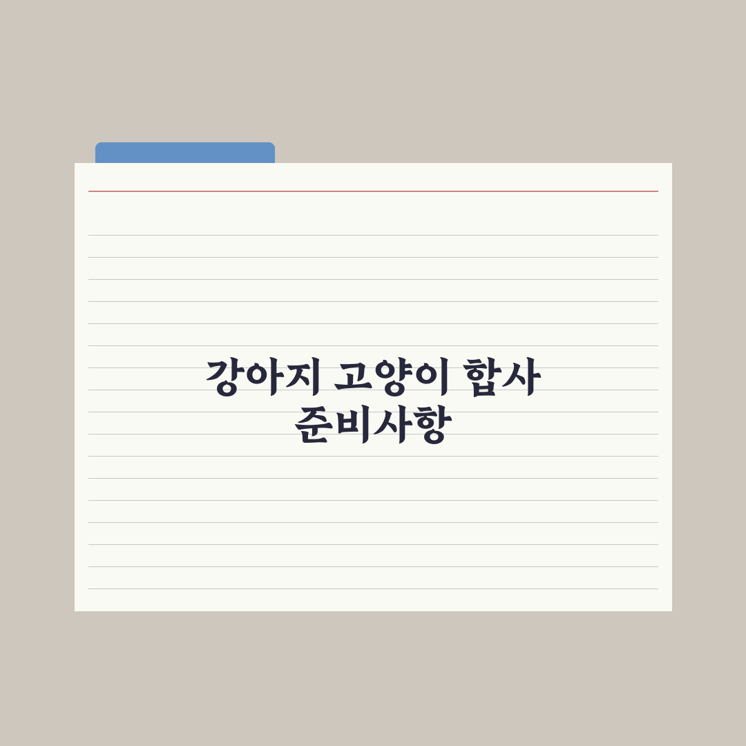 강아지·고양이 합사 단계별 가이드 심층분석, 전문가가 검증한 5단계 수칙