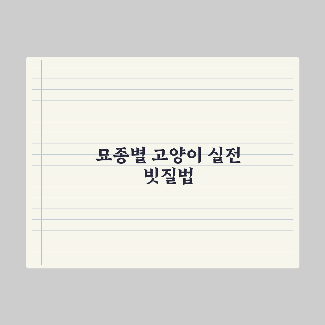 고양이 빗질 - 단모종·장모종별 방법 완벽가이드, 전문가의 5단계 수칙