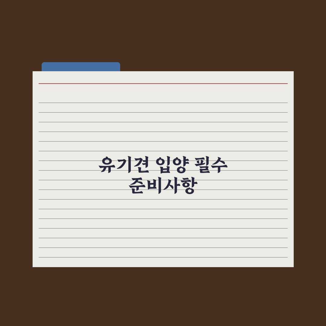 유기견 입양 절차와 보호소 정보 완벽가이드: 현장 전문가가 검증한 5단계 핵심 전략