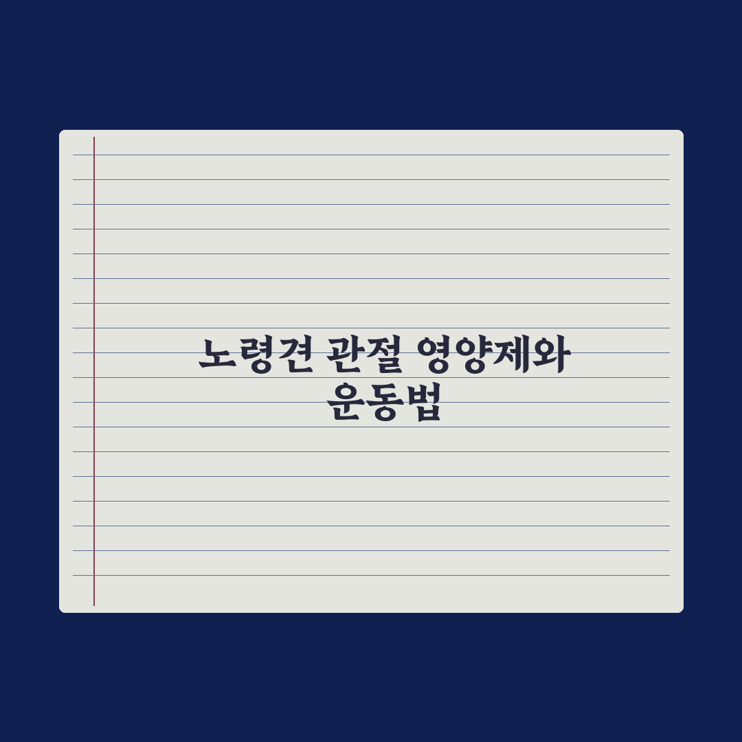 노령견 관절 케어 - 영양제와 운동법 완벽가이드, 전문가가 검증한 5단계 핵심 수칙