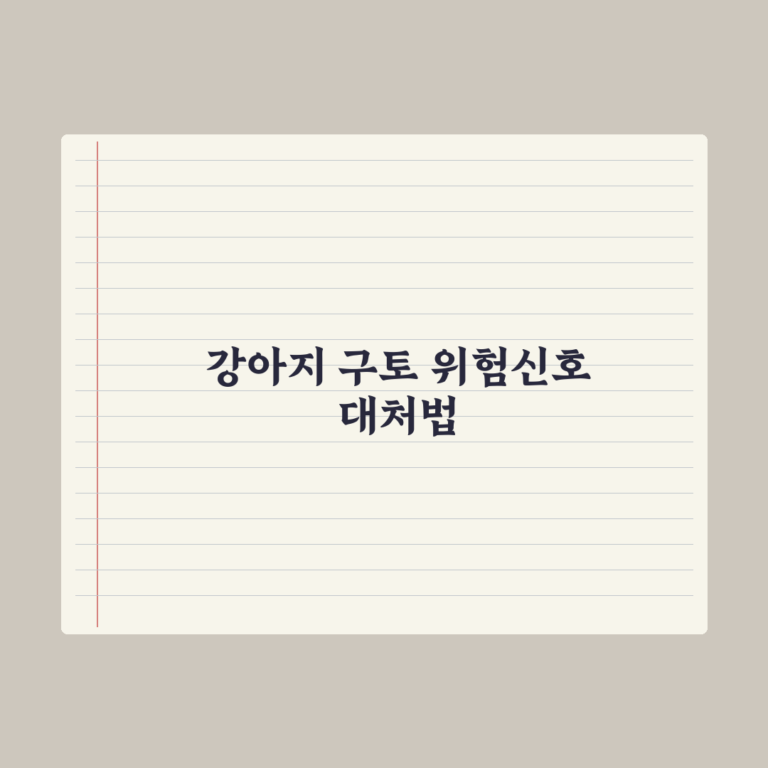 강아지 구토 - 위험 신호와 병원 가야 할 때 심층분석, 놓치기 쉬운 5가지 핵심 징후