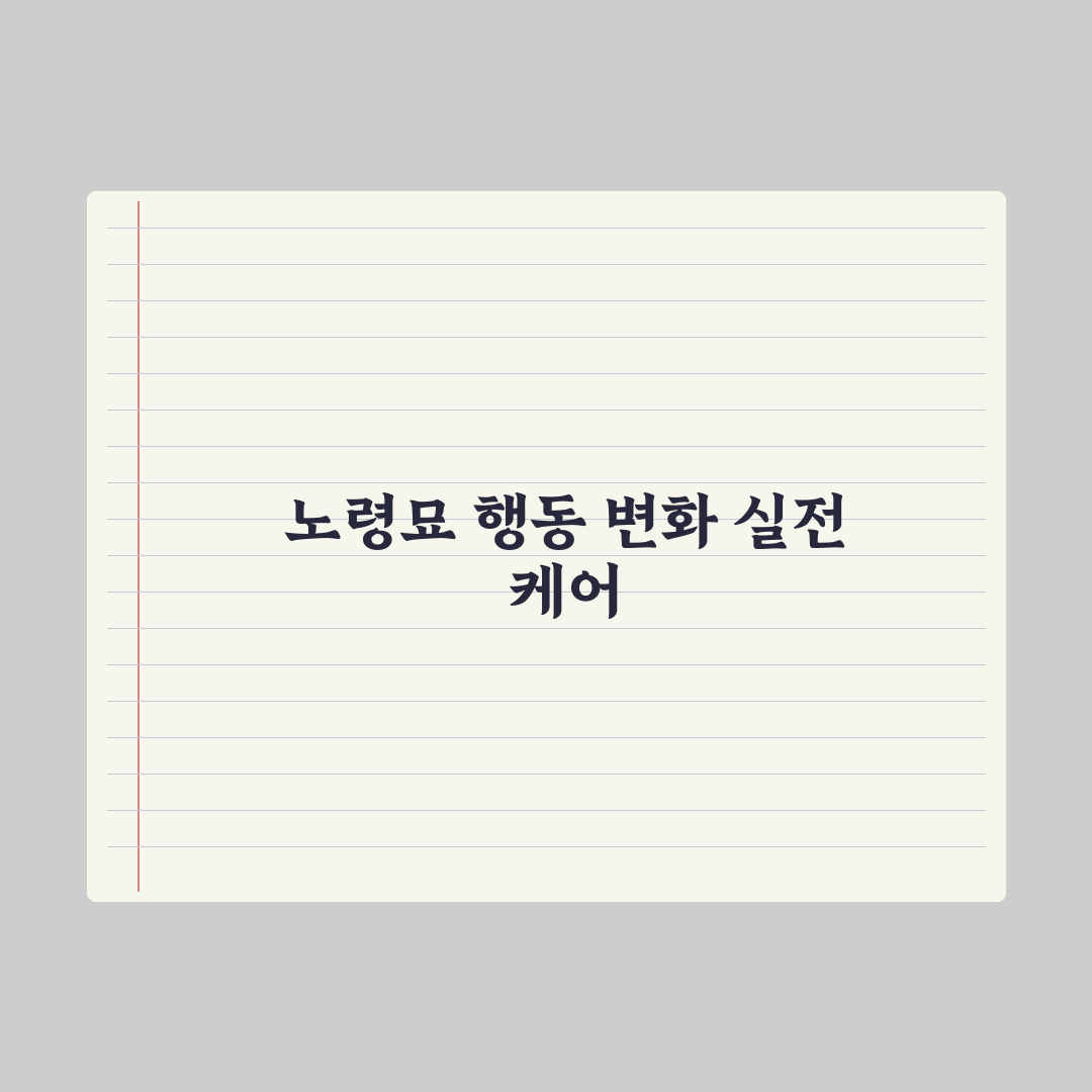 노령묘 행동 변화와 케어 포인트 완벽가이드: 전문가가 분석한 5대 핵심 징후